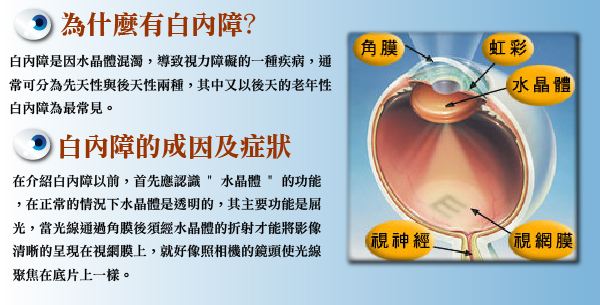 多方面認(rèn)識白內(nèi)障，莫讓致盲把心傷